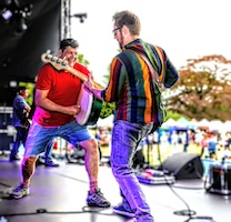 Folklaw Phoenix Festival